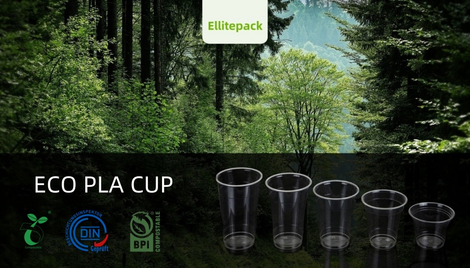 eco cup.jpg